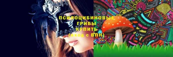 спиды Арсеньев