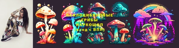 спиды Арсеньев