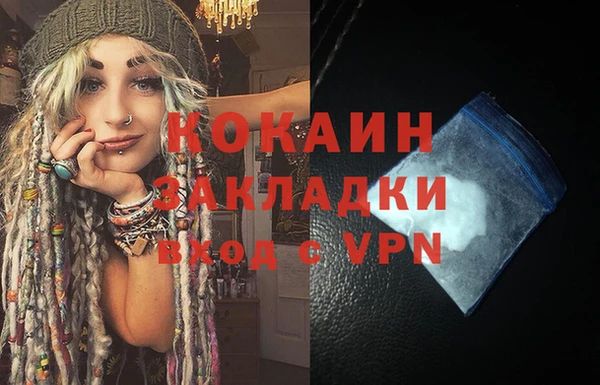 шишки Армянск
