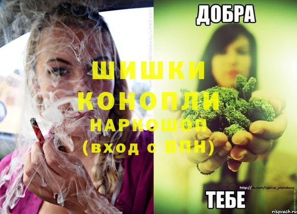 шишки Армянск