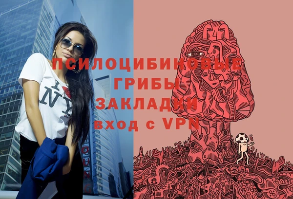 героин Алексин