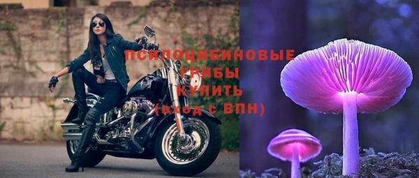 спиды Арсеньев