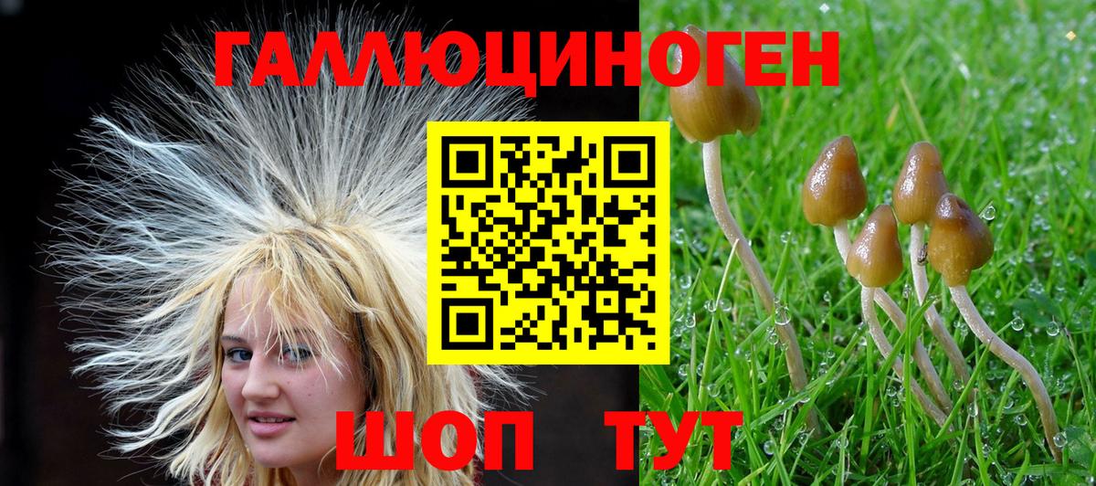 Псилоцибиновые грибы прущие грибы  Вход с VPN  наркота  Чапаевск 