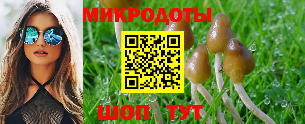 Галлюциногенные грибы ЛСД Чапаевск